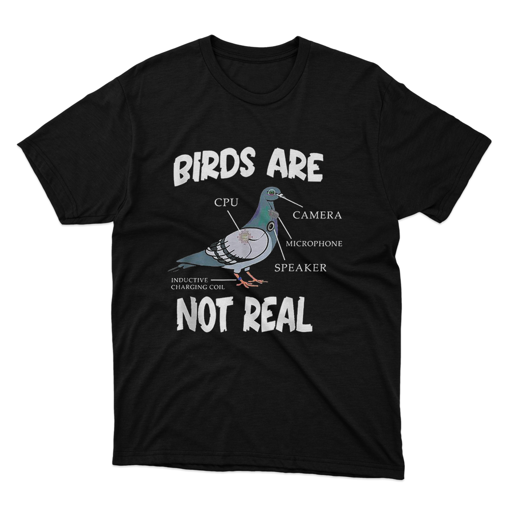 Birds Are Not Real Black T-Shirt image 1