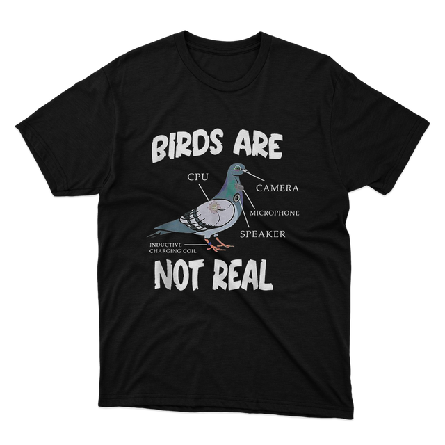 Birds Are Not Real Black T-Shirt